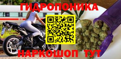 экстази Гатчина