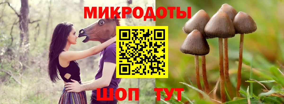 Галлюциногенные грибы прущие грибы Михайловка
